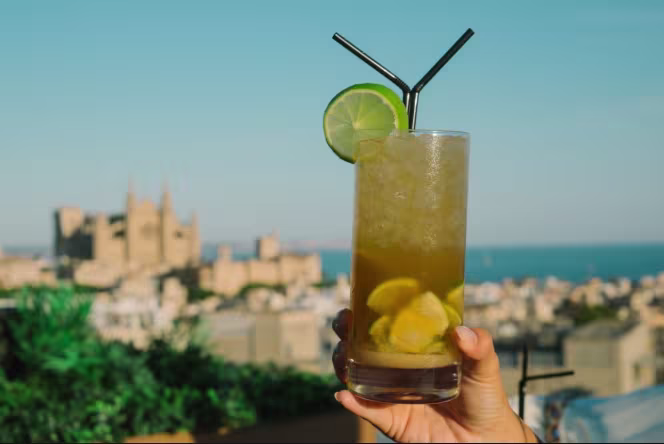 Cuit by Miquel Calent - 2