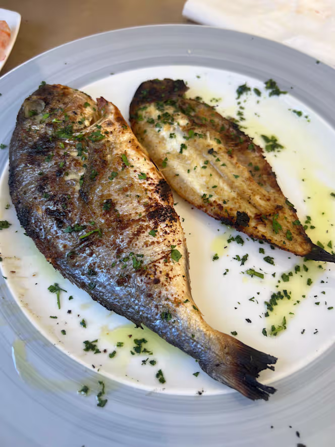 La Fattoria - 0
