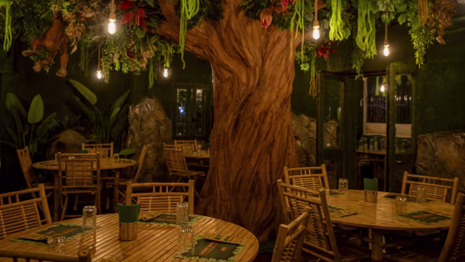 Arbù - Welcome to the jungle - 7