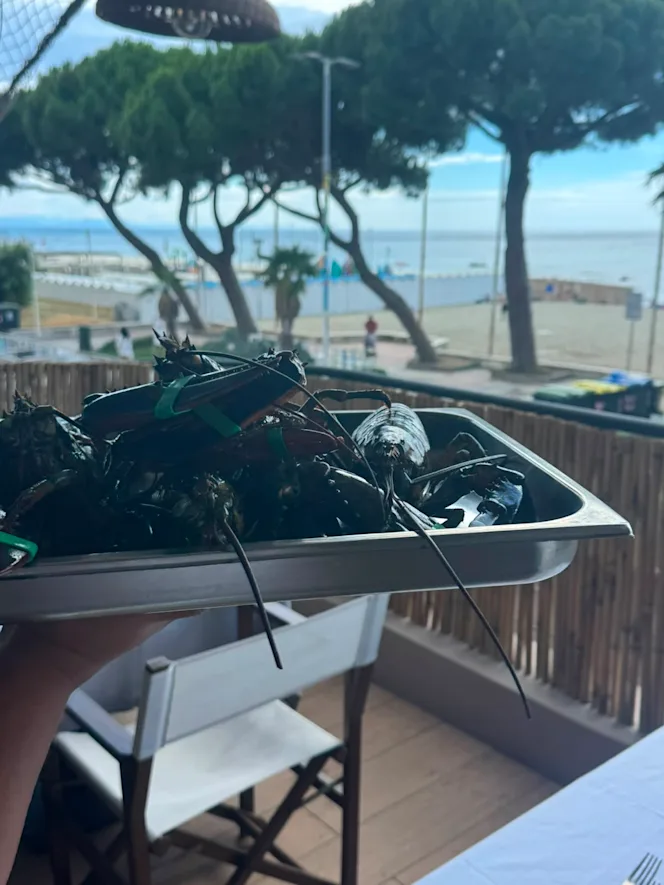 La Terrazza - 4