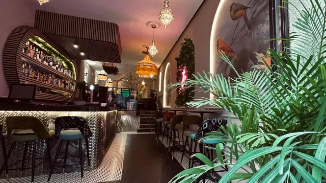 Surat Indian Cuisine - Madrid - 0