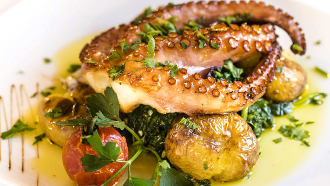 Mato à Vista - Albufeira - 1