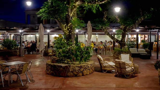 Mato à Vista - Albufeira - 8