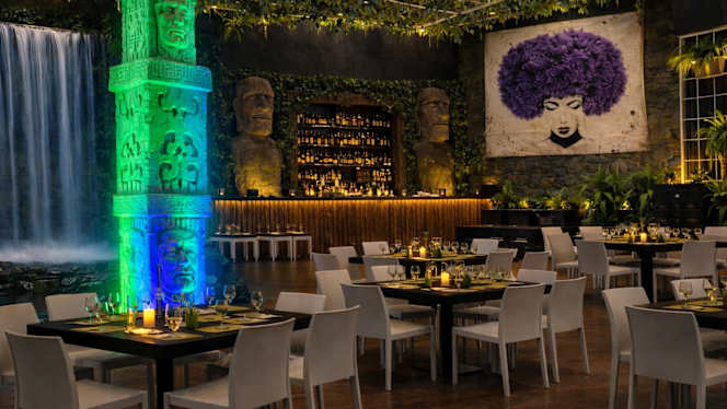Jungle's – Immersive Restaurant - 7