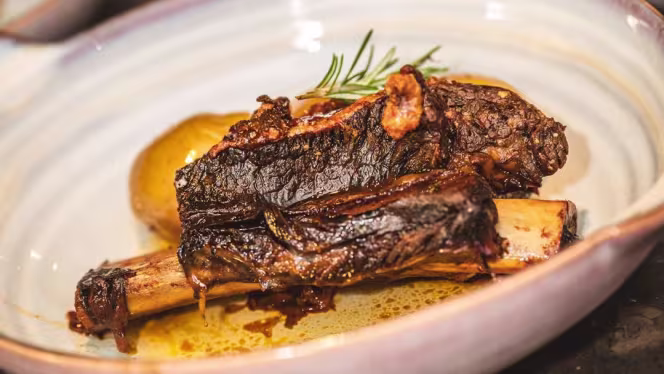 Ensaio GastroBar - 0