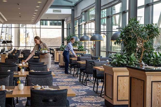 Restaurant Wintergarten: Maritim Hotel Dresden - 4