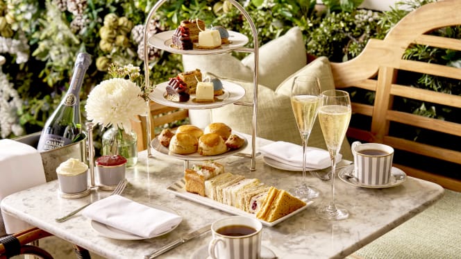 Dalloway Terrace - 6