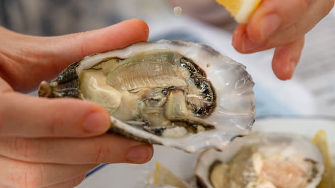 Mushlya - Oysters & Bubbles - 1