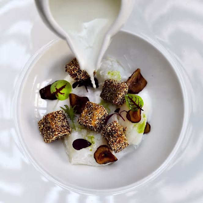 Zenzero & Cannella - 3