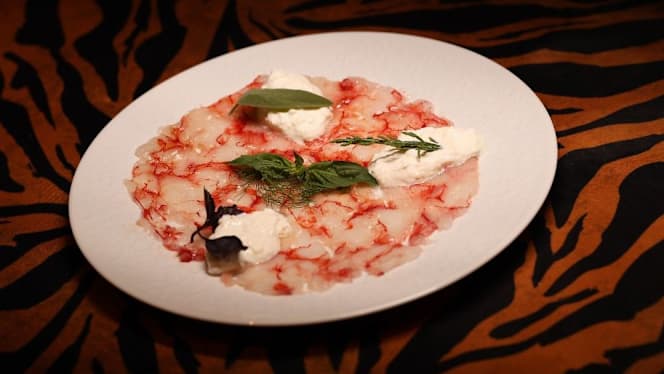 Safari Club - Salerno - 7