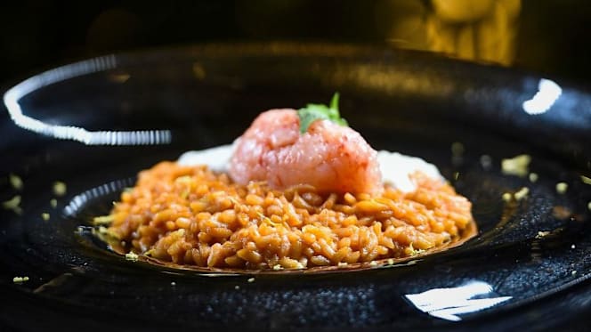 Safari Club - Salerno - 1