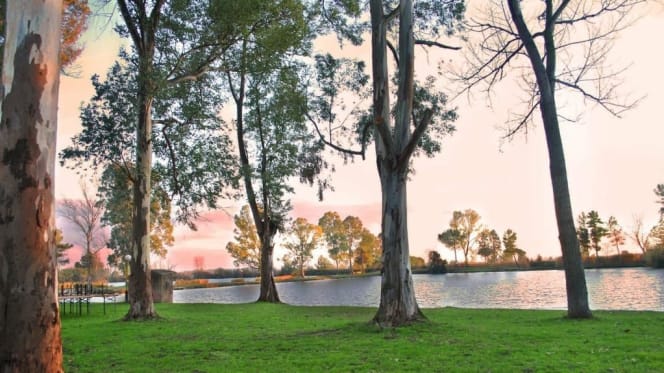 Malvaldo dal Govonella - 4