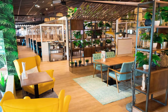 Mauritius Münster - Munster - 4