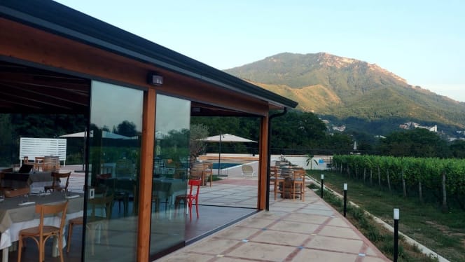 Azienda Agricola Guerritore - 9