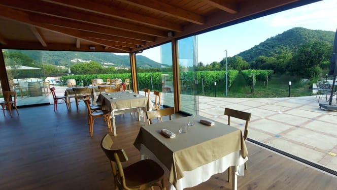 Azienda Agricola Guerritore - 8