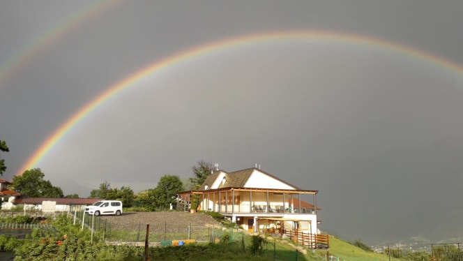 Ristorante dell’Agriturismo "da YSY" - 4