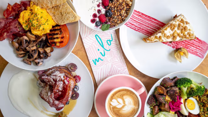 Mila - Intendente - 3