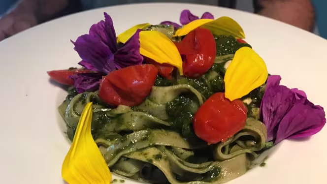 Agritur allo stesso campo - 5