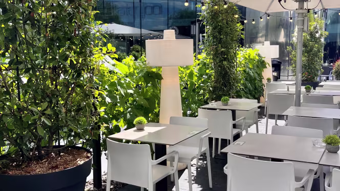 100 Patates Waves - 2