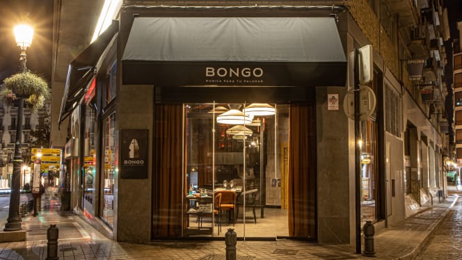 Bongo - 8