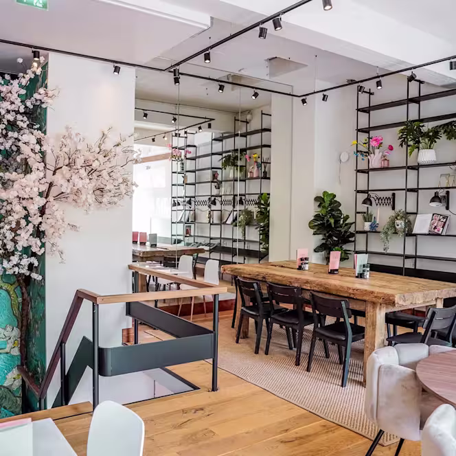 Teds Rotterdam Lijnbaan - 1