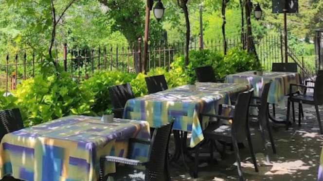 Trattoria Primavera - 9