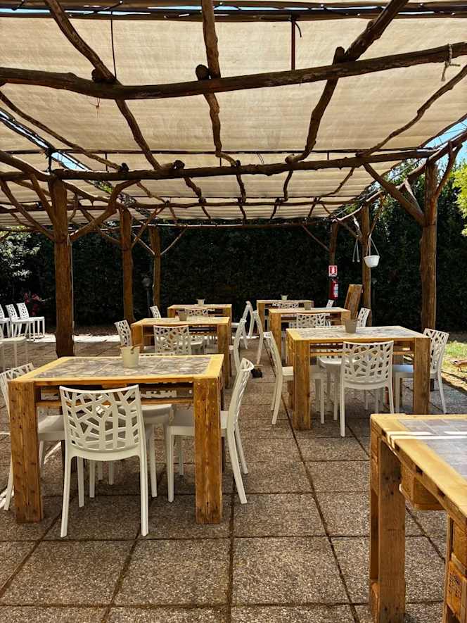 La Fattoria Degli Etruschi - 0