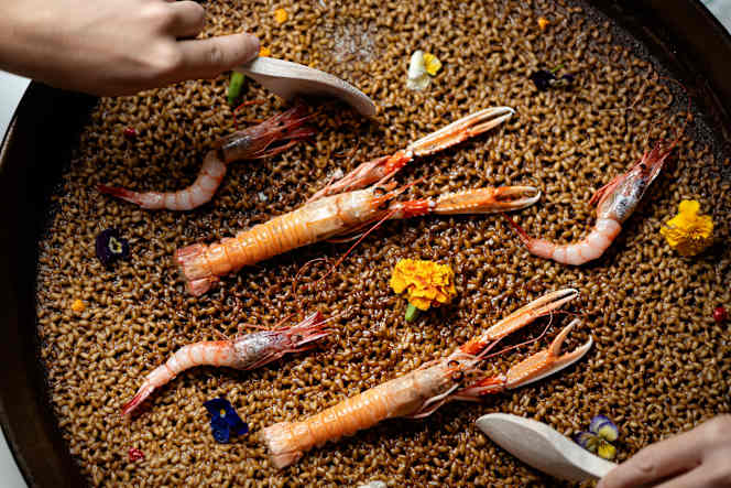 Maysi Barcelona - Barcelona - 9