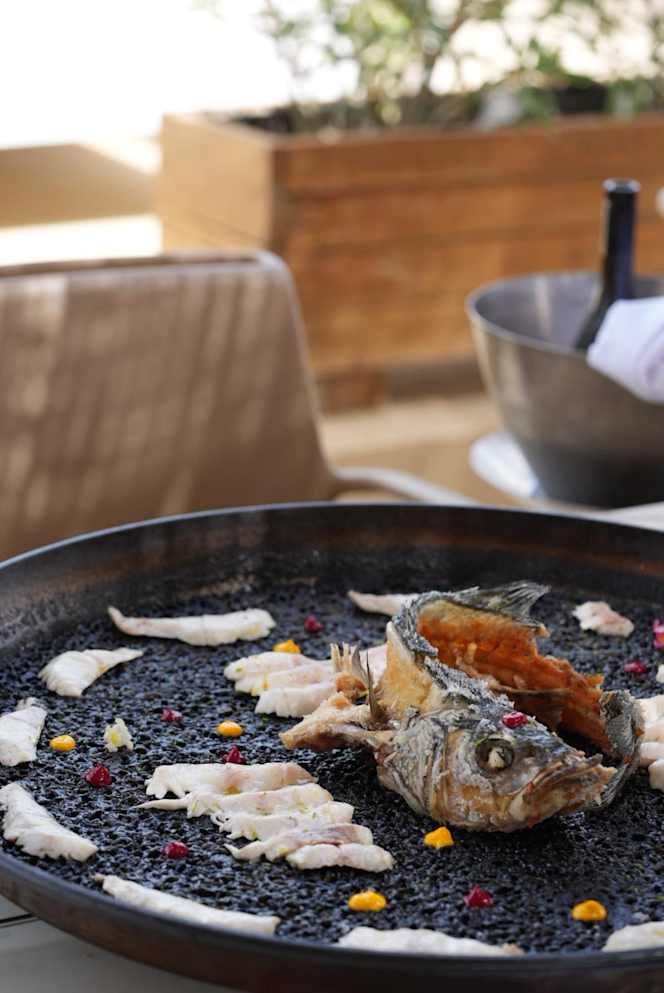 Maysi Barcelona - Barcelona - 4