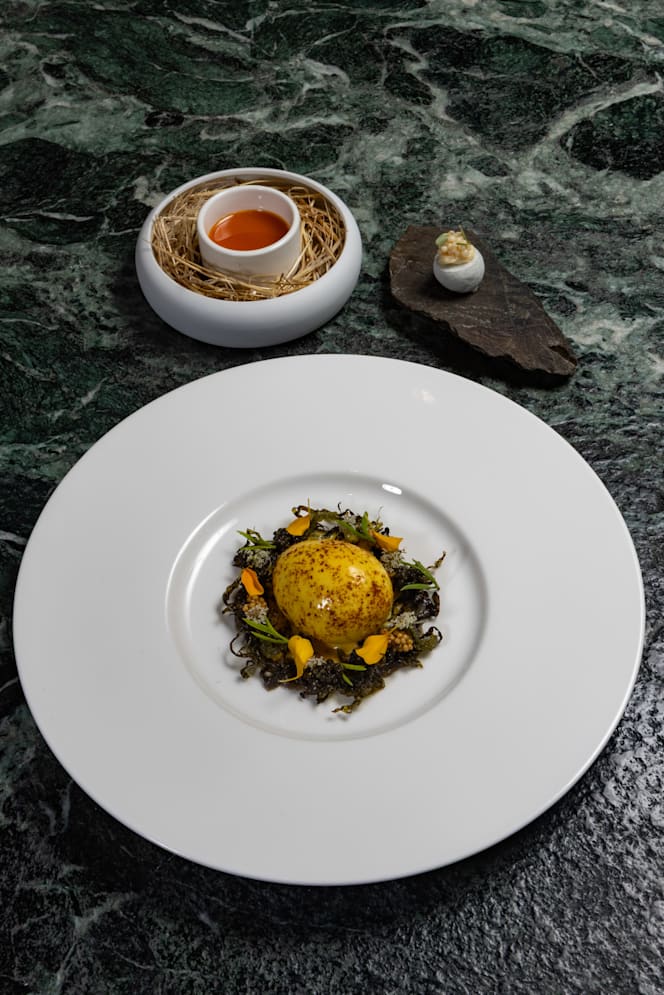 Ristorante Terra Cagliari - Palazzo Tirso - 8