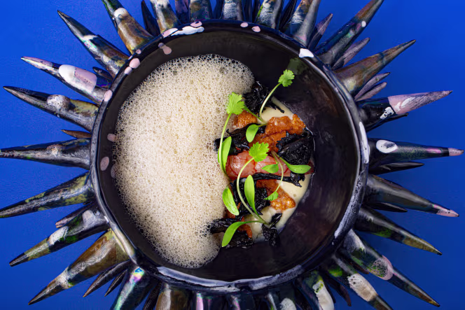 Hagakure Noh Samba - 0