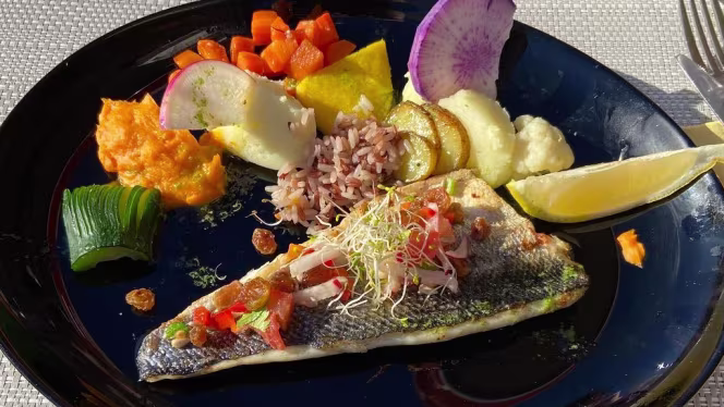 Le Petit Niçois Bio - 7