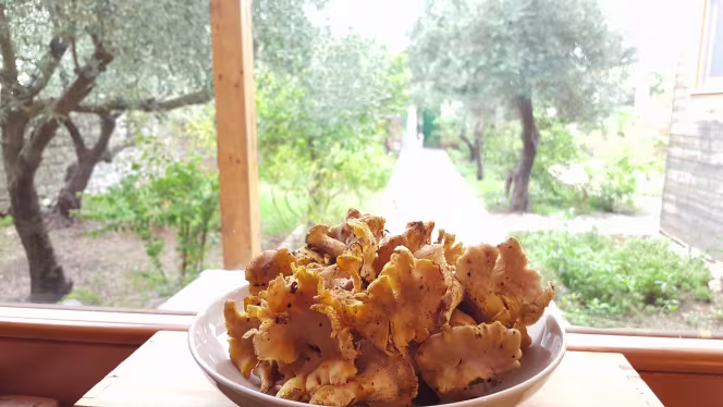 Singola Ristorante Naturale - 3