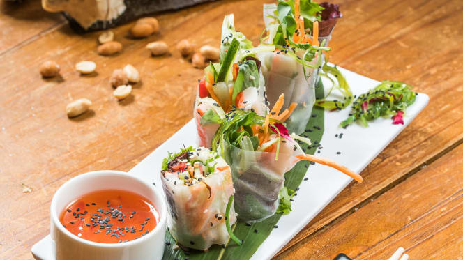 Roots Experience - 5