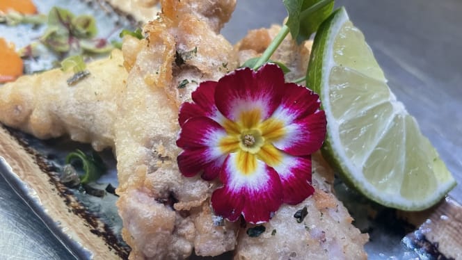 Roots Experience - 8