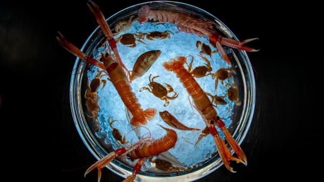 Restaurante Alma - 9