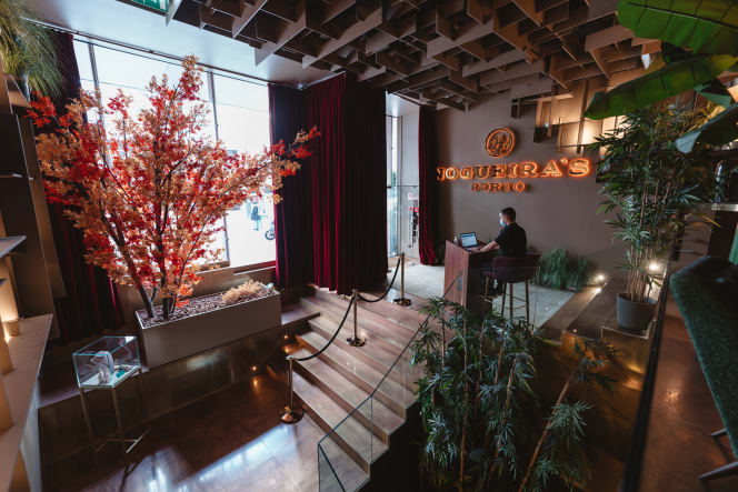 Nogueira's Porto - 9