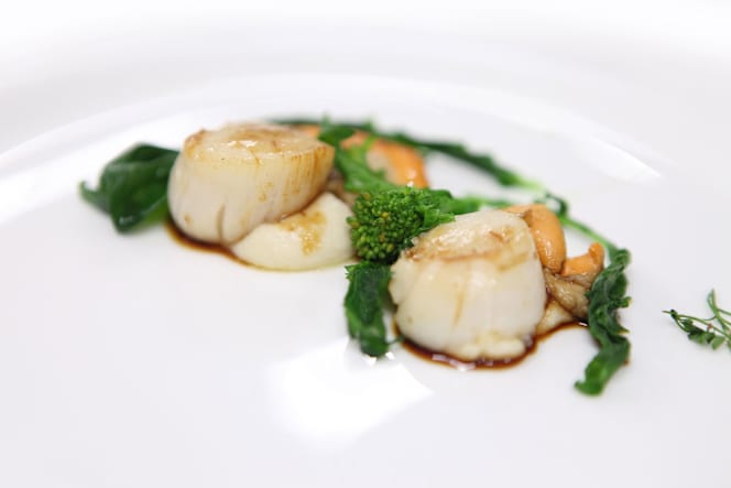 Due Cigni - Montecosaro - 3