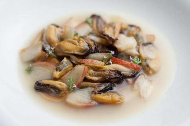 Due Cigni - Montecosaro - 5