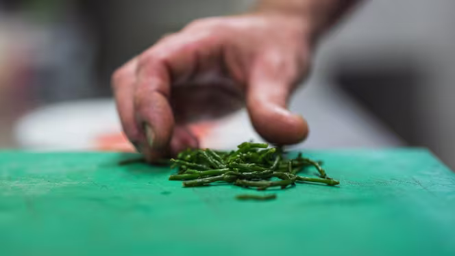 Auberge du Cheval Blanc - 2