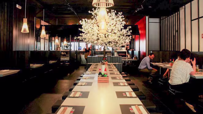 Udon - Noodle Bar & Restaurant - 4