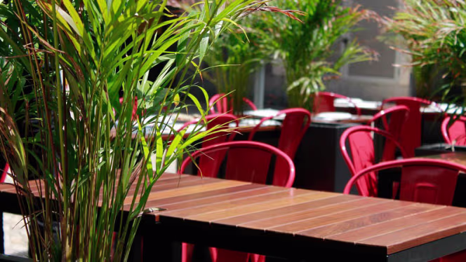 Udon - Noodle Bar & Restaurant - 0